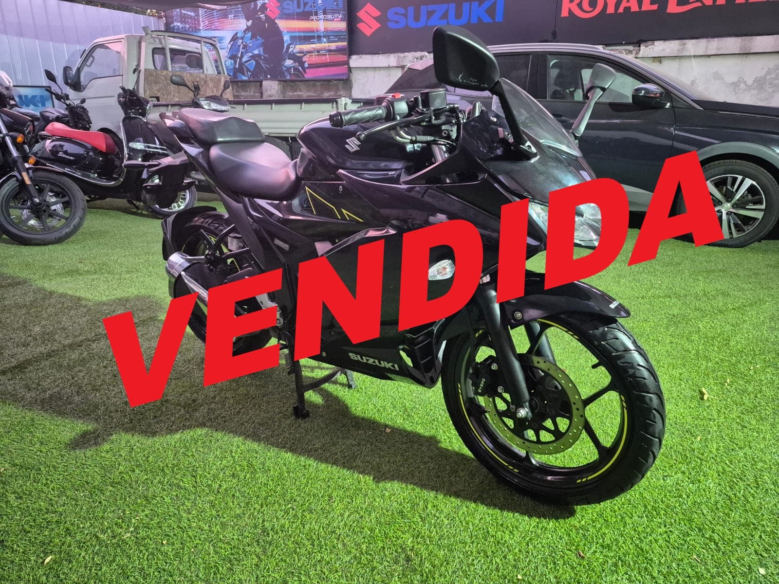 SUZUKI GIXXER FRF 2024 RACER